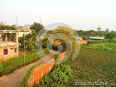 Path way and beauty of nature in the after-noon light, Gazipur, Bangladesh Stock Photo