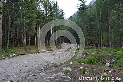 A path way through the forest of Kumrat, KP, Pakistan Stock Photo