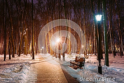 Path, Way In Winter Park In Light Of Lanterns At Evening. Night. Stock Photo