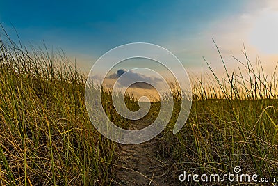 Path through the Wild Grass Stock Photo