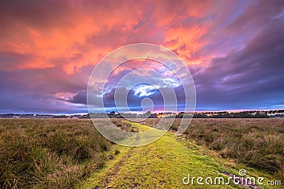 Path through Wild natural landscape under amazing sky Stock Photo