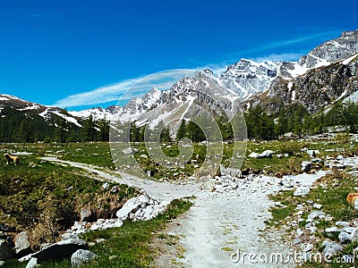 path that winds through the alpine meadows of Alpe devero, Alpi Stock Photo