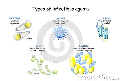 Pathogen. infection from prions and viruses, to bacteria, fungi and unicellular organism Vector Illustration