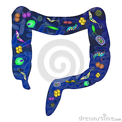 Pathogenic microflora in the intestine. Dysbacteriosis. Dysbiosis. Killed the good bacteria flora in the colon Vector Illustration