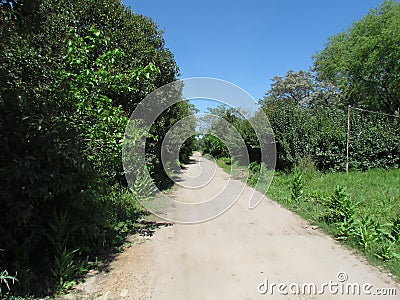 The paths and broad horizons, full of green, are only seen by those who go to the countryside . Stock Photo