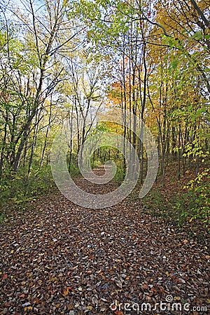 Pathway along sand lake in the fall Stock Photo