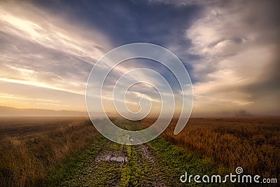 Pathway in the autumn fields Stock Photo