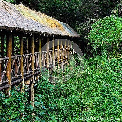 Pathway bridge above the forest Stock Photo