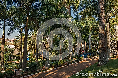 Pathway with cobblestone amidst a lush garden full of tall trees and palm trees, in a sunny day at SÃ£o Manuel. Editorial Stock Photo