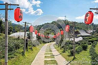 Pathway decorate with red chinese lantern Stock Photo