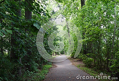 Pathway Through Elysian Woods Stock Photo