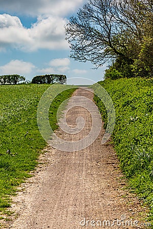 A Pathway through Fields Stock Photo