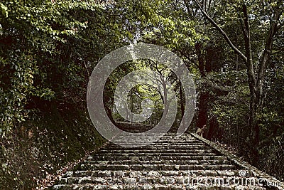 Pathway into the forest in Arashiyama, Japan Stock Photo