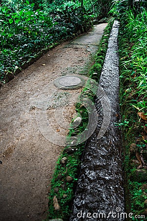 A pathway in a forest with a stream Stock Photo