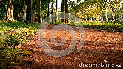 Pathway on forest trees landscape in Taipei park. Asian walking path garden Stock Photo