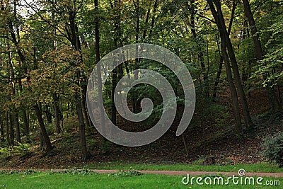 Pathway, green grass and trees in beautiful public city park on autumn day Stock Photo