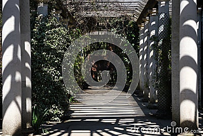 Pathway of the Hampstead Pergola in the Golders Hill Park in England, London / UK. Stock Photo