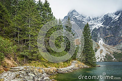 Pathway by lake shore and pine forest Stock Photo