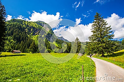 Pathway leading to Lauenensee near Gstaad, Berner Oberland, Switzerland Stock Photo