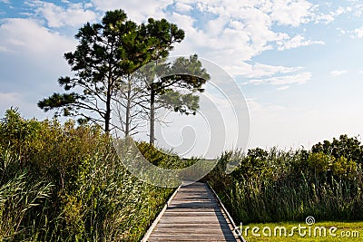 Pathway Leading to Observation Point at Bodie Lighthouse Stock Photo