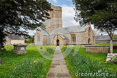 Pathway lined with yellow buttercups and daffodils leading to the Church of St Mary in the village of Burton Bradstock, Dorset, UK Editorial Stock Photo