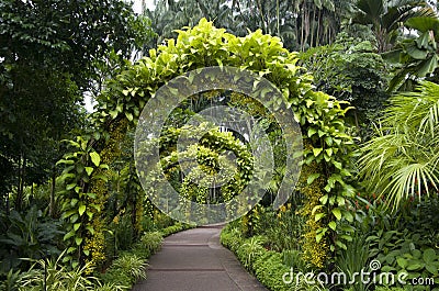 Pathway singapore botanic garden Stock Photo