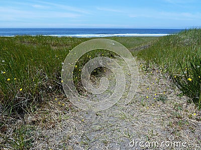 Pathway to the Pacific Stock Photo