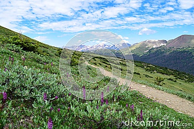 Pathway towards the Never Summer Mountains in Colorado Stock Photo