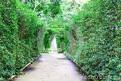 The pathway and two green trees. With fountain in the middle Stock Photo