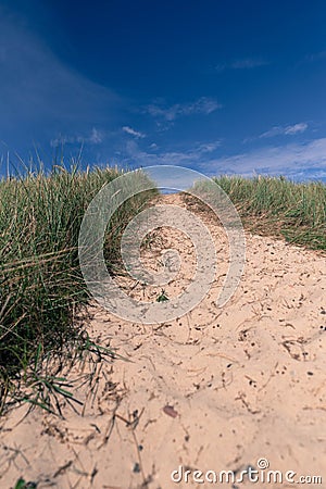 Sand dune Stock Photo