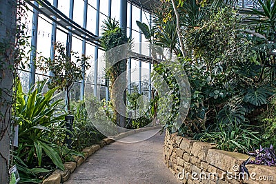 Pathway through a winter garden hot glass house with tropical plants Editorial Stock Photo