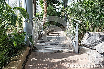 Pathway through a winter garden hot glass house with tropical plants Editorial Stock Photo