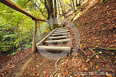 Pathway wooden stairs Stock Photo