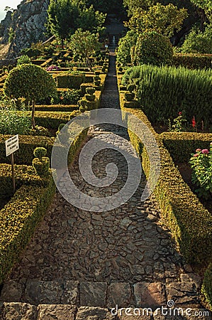 Pathways flanked by leafy edge and bushes Editorial Stock Photo