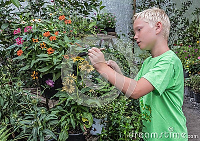 A Patient Blonde Haired Boy Stock Photo