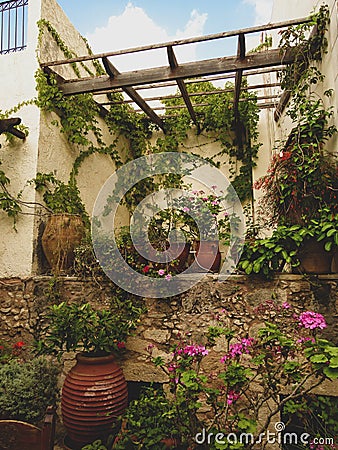 Patio with plants in pots and flowers against the yellow walls in Rethymno Stock Photo