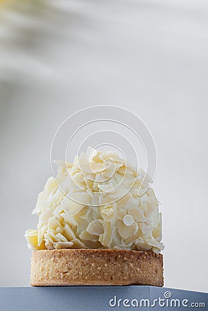 Patisserie dessert. Single piece of artisan cake. High detail studio photo. Copy space background Stock Photo
