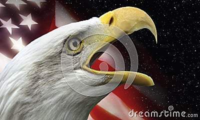 Patriotic Symbols of the USA Stock Photo