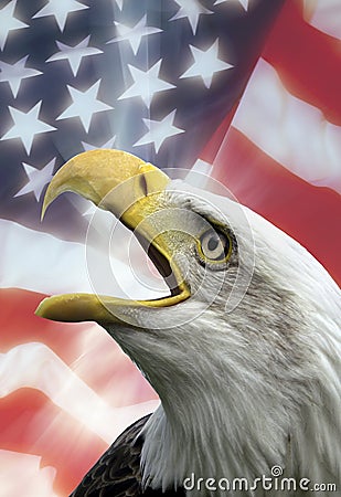 Patriotic Symbols - USA - Eagle Stock Photo