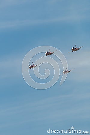 Patrouille Suisse Northrop F-5E Tiger II jet in Mollis in Switzerland Editorial Stock Photo