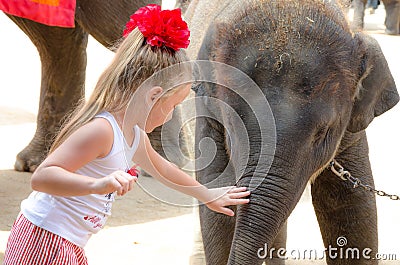 Pattaya, Thailand : Little girl and little elephant. Editorial Stock Photo