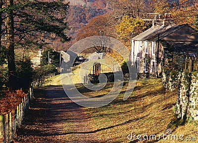 Patterdale rural cottages, Cumbria Stock Photo