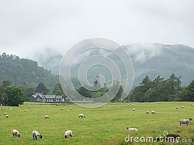 Patterdale Stock Photo