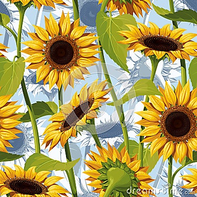 Seamless vector pattern of realistic sunflower flowers on a blue background Stock Photo