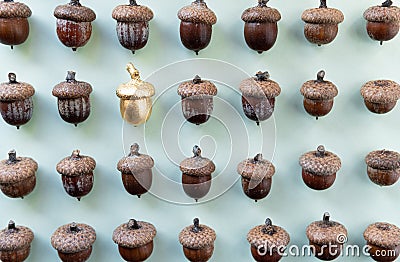 Pattern of acorns on natural green background with one golden acorn in the middle Stock Photo