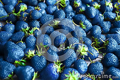 Pattern background witn blue strawberry. Modern concept. Stock Photo