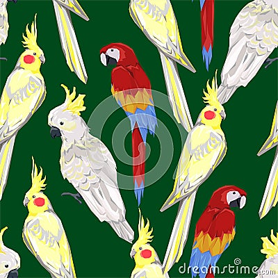 Pattern with beautiful parrots. exotic Birds green background Vector Illustration Vector Illustration