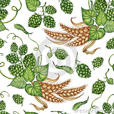 Pattern of bunches of wheat ears and green hops watercolor Cartoon Illustration