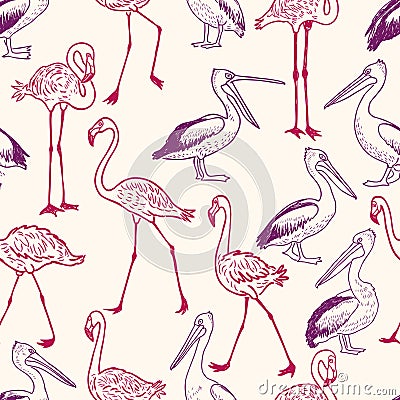 Pattern of the cartoon pelicans and flamingos Vector Illustration