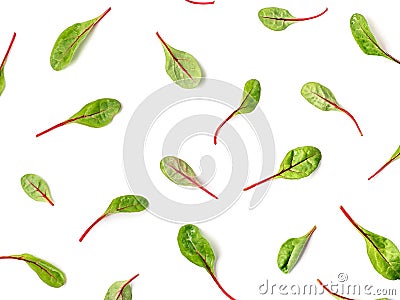 Pattern of chard leaves or mangold Stock Photo